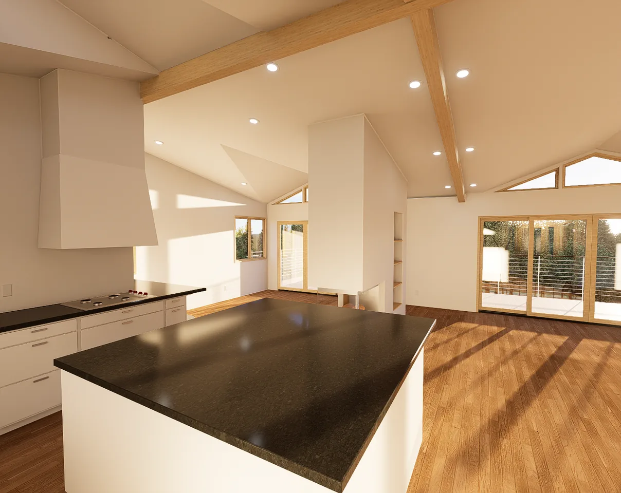 Schwartz Residence architecture view 3
